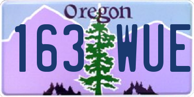 OR license plate 163WUE