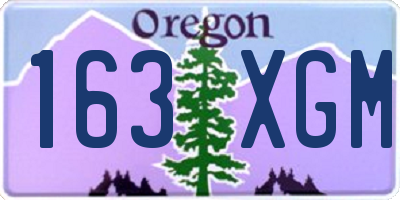 OR license plate 163XGM
