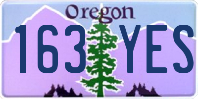 OR license plate 163YES