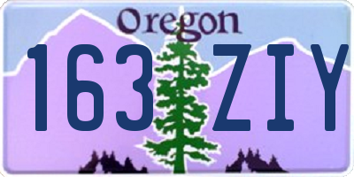 OR license plate 163ZIY