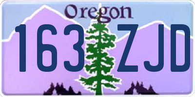 OR license plate 163ZJD