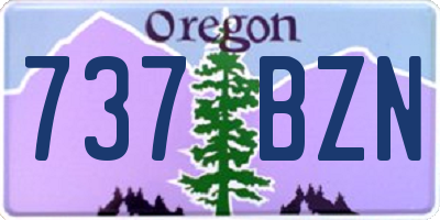 OR license plate 737BZN