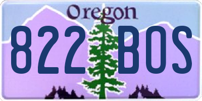 OR license plate 822BOS