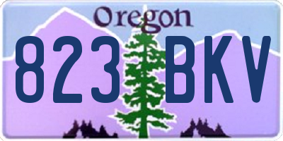 OR license plate 823BKV