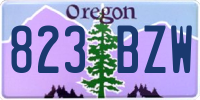 OR license plate 823BZW