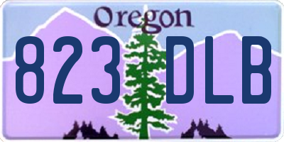OR license plate 823DLB