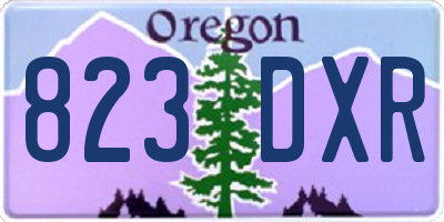 OR license plate 823DXR