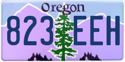 OR license plate 823EEH