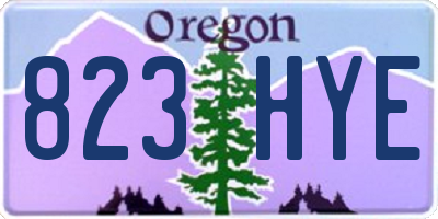 OR license plate 823HYE
