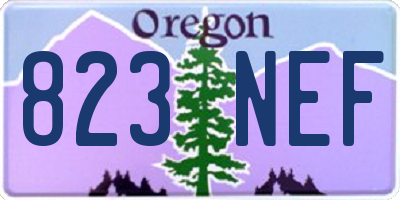 OR license plate 823NEF