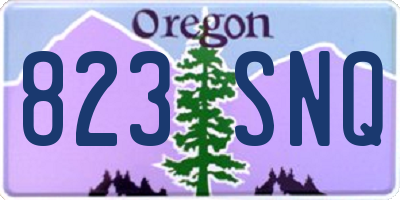 OR license plate 823SNQ