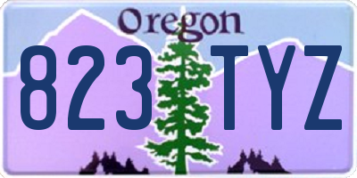OR license plate 823TYZ
