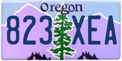OR license plate 823XEA