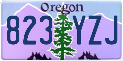 OR license plate 823YZJ