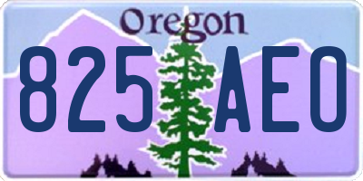 OR license plate 825AEO