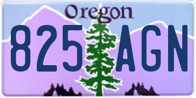 OR license plate 825AGN