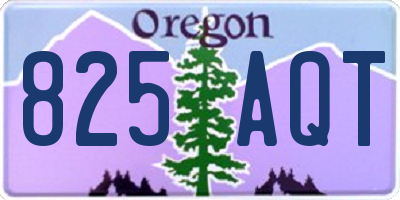 OR license plate 825AQT