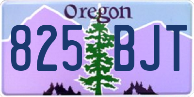 OR license plate 825BJT