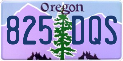 OR license plate 825DQS