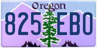 OR license plate 825EBO