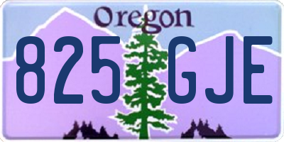 OR license plate 825GJE