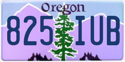 OR license plate 825IUB