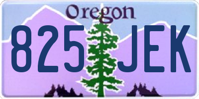 OR license plate 825JEK