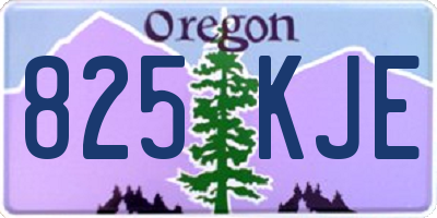 OR license plate 825KJE