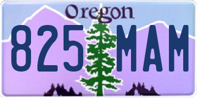 OR license plate 825MAM