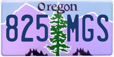 OR license plate 825MGS