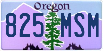 OR license plate 825MSM