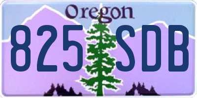 OR license plate 825SDB