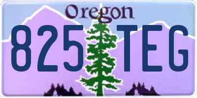 OR license plate 825TEG