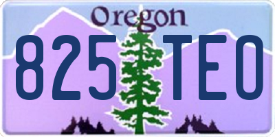 OR license plate 825TEO