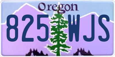 OR license plate 825WJS
