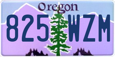 OR license plate 825WZM
