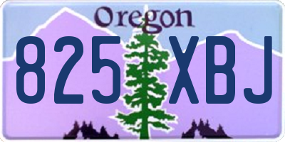 OR license plate 825XBJ