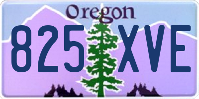 OR license plate 825XVE