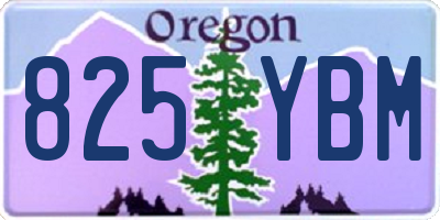 OR license plate 825YBM