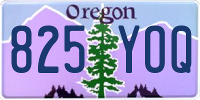OR license plate 825YOQ
