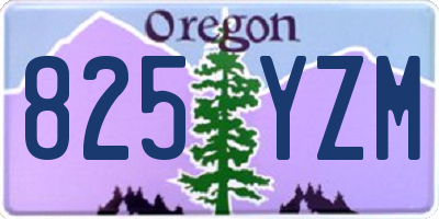 OR license plate 825YZM