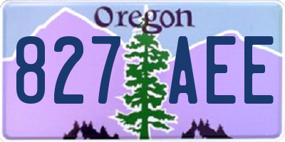 OR license plate 827AEE