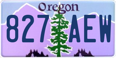 OR license plate 827AEW