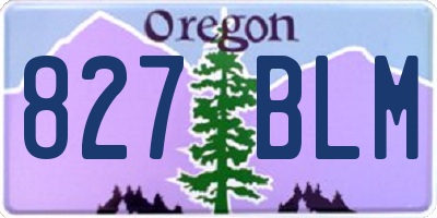 OR license plate 827BLM