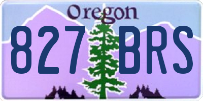 OR license plate 827BRS