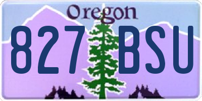 OR license plate 827BSU