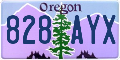 OR license plate 828AYX