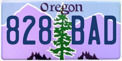 OR license plate 828BAD