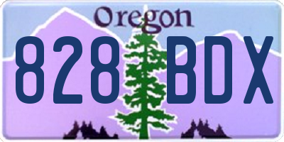 OR license plate 828BDX