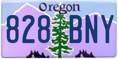OR license plate 828BNY